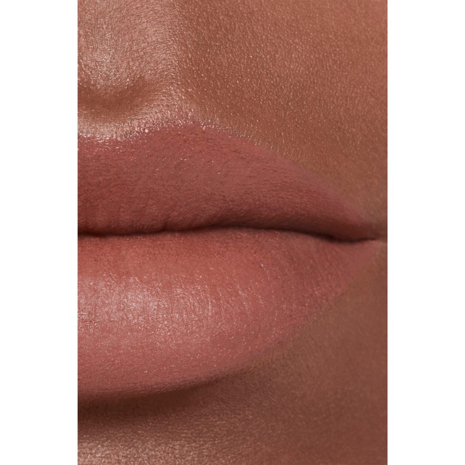 LA BARRA DE LABIOS ATERCIOPELADA LUMINOSA